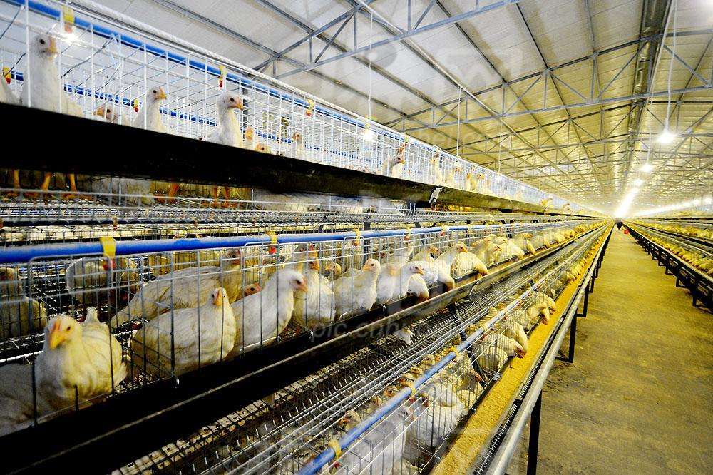 1621910441384797.jpg src=http___5b0988e595225.cdn.sohucs.com_images_20180117_5bda88de29c444c49edd0ce6c47f0428.jpeg&refer=http___5b0988e595225.cdn.sohucs.jpg