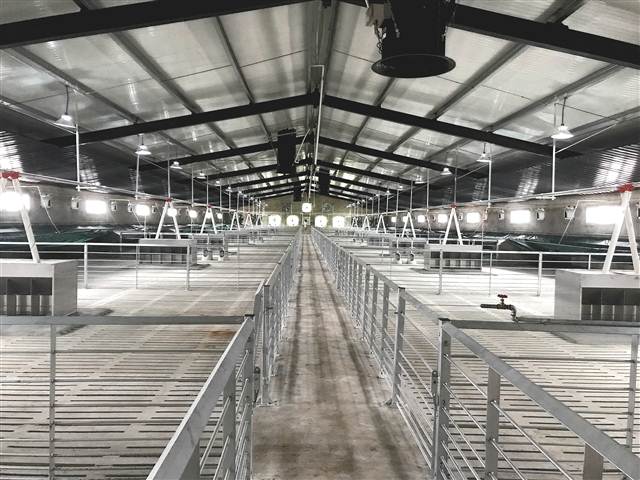 养猪场臭氧发生器解决方案