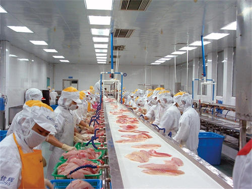 臭氧发生器应用在食品加工各个方面消毒