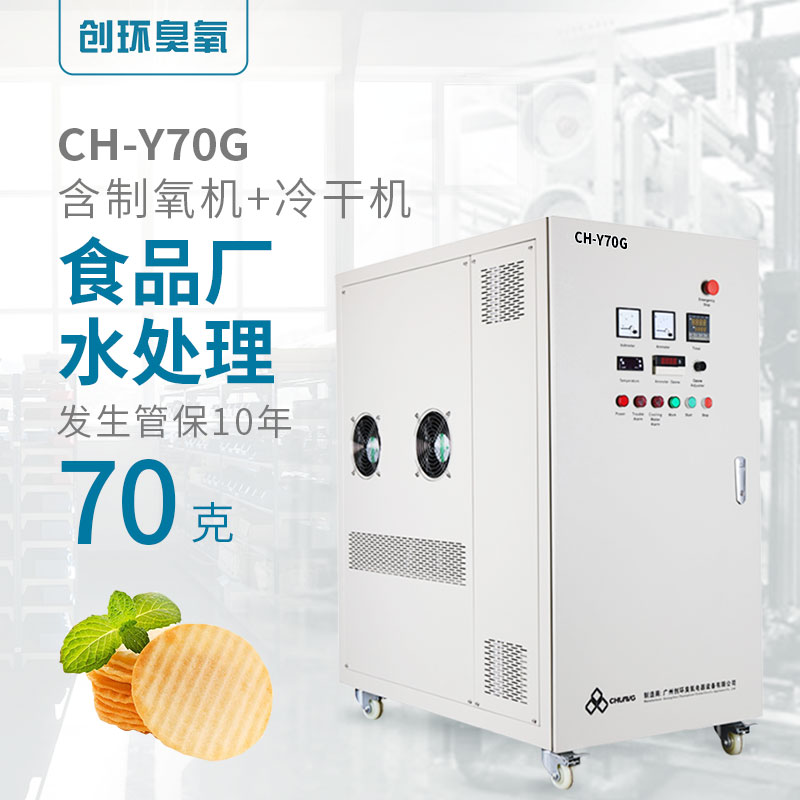 CH-Y高浓度氧气源水冷一体机70g/h